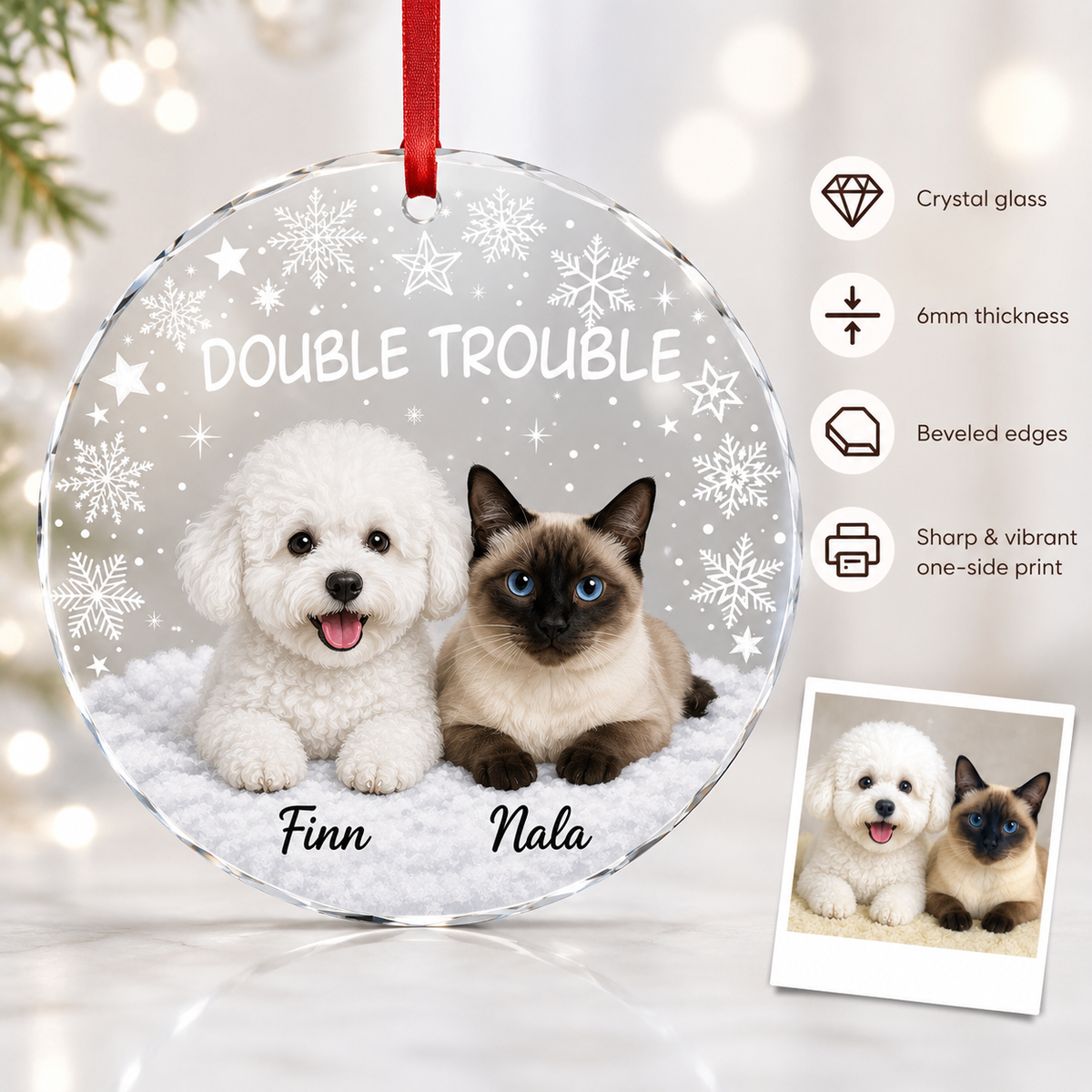 Custom Photo Pet Style 12