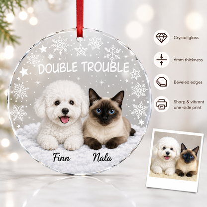 Custom Photo Pet Style 12