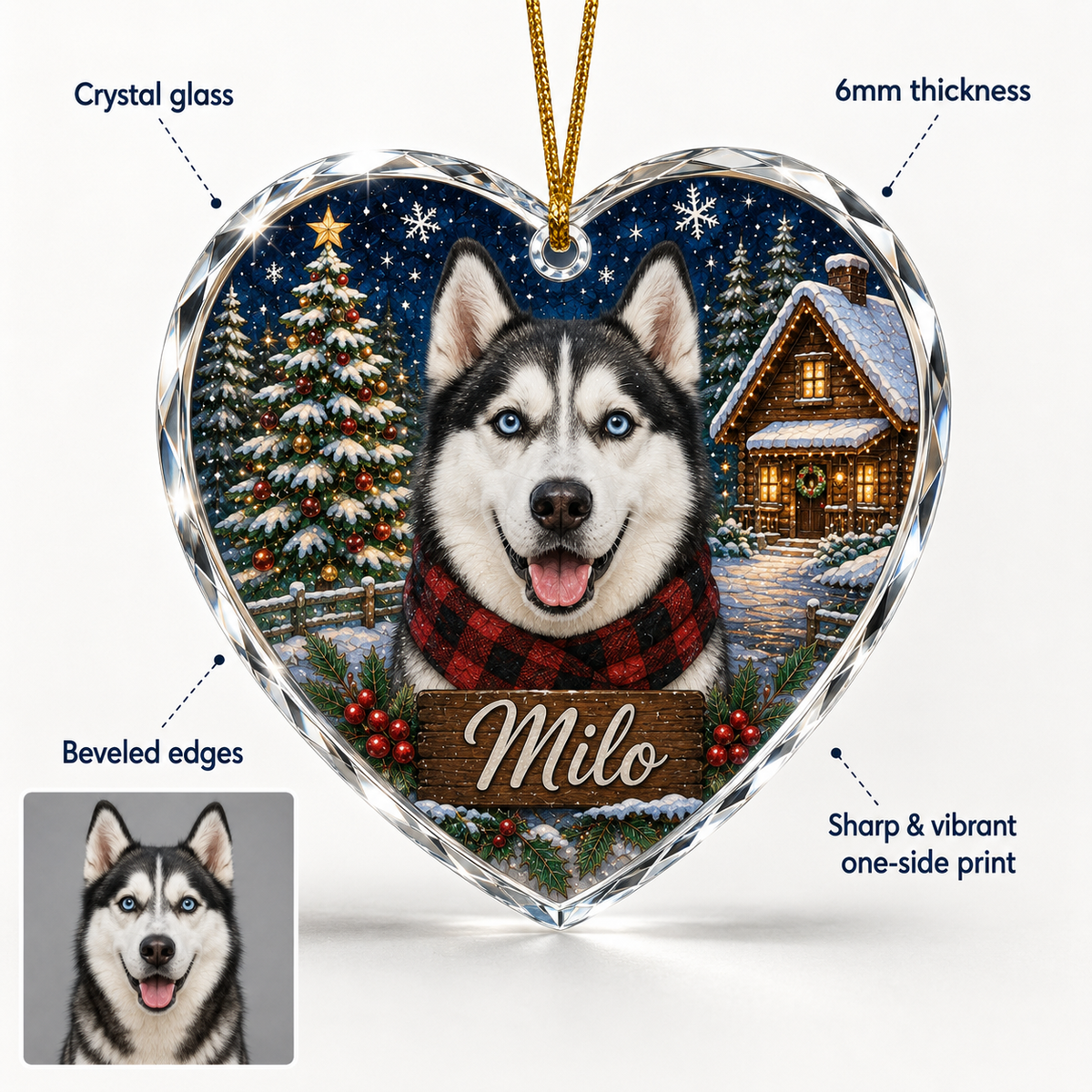 Custom Photo Dog Glass At Winter Christmas Night