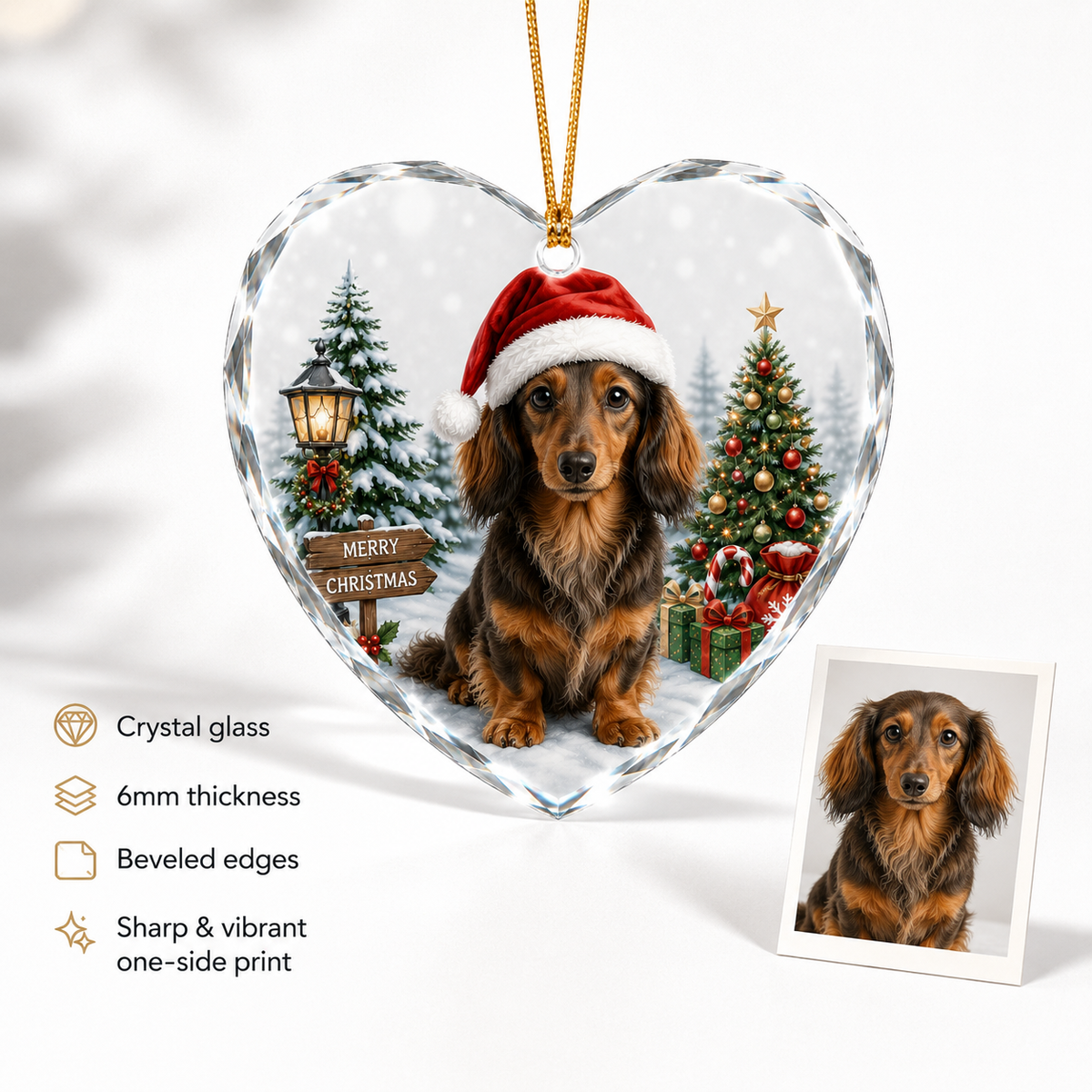 Custom Photo Pet Style 6