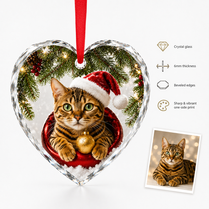 Custom Photo cat style 14