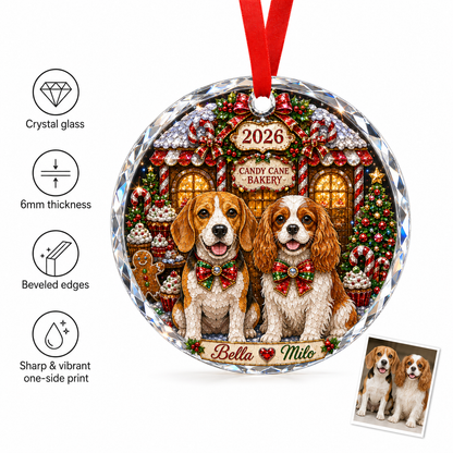 Custom Photo Multiple Dogs 7