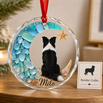 Custom Dog Seashell Border Collie