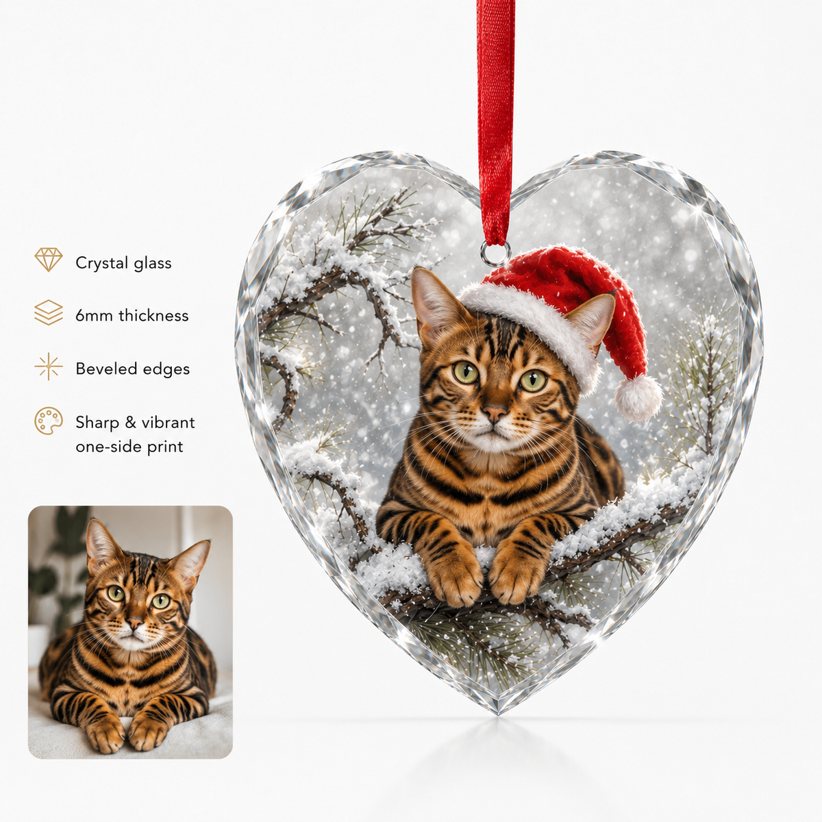 Custom Photo cat style 17
