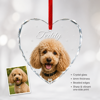 Custom Photo Dog Xmas Style 13