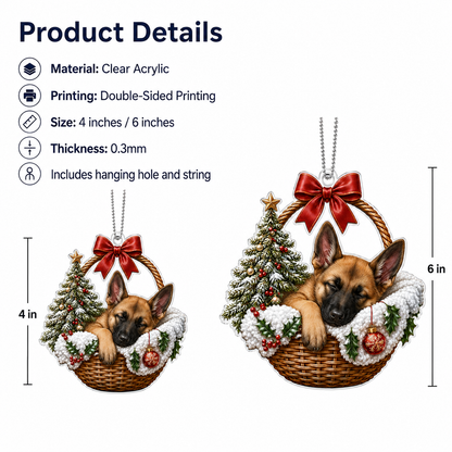 Dog Chrismast With Wicker Basket Belgian Malinois