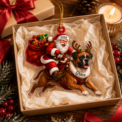 Santa Claus and Dog Boxer