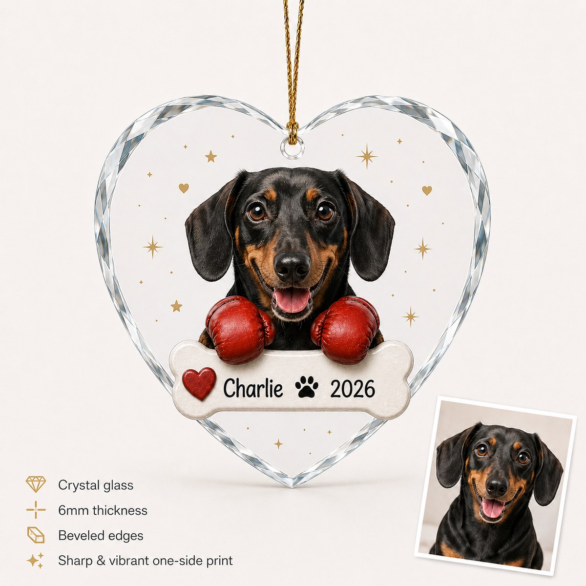 Custom Photo Dog With Boxing
