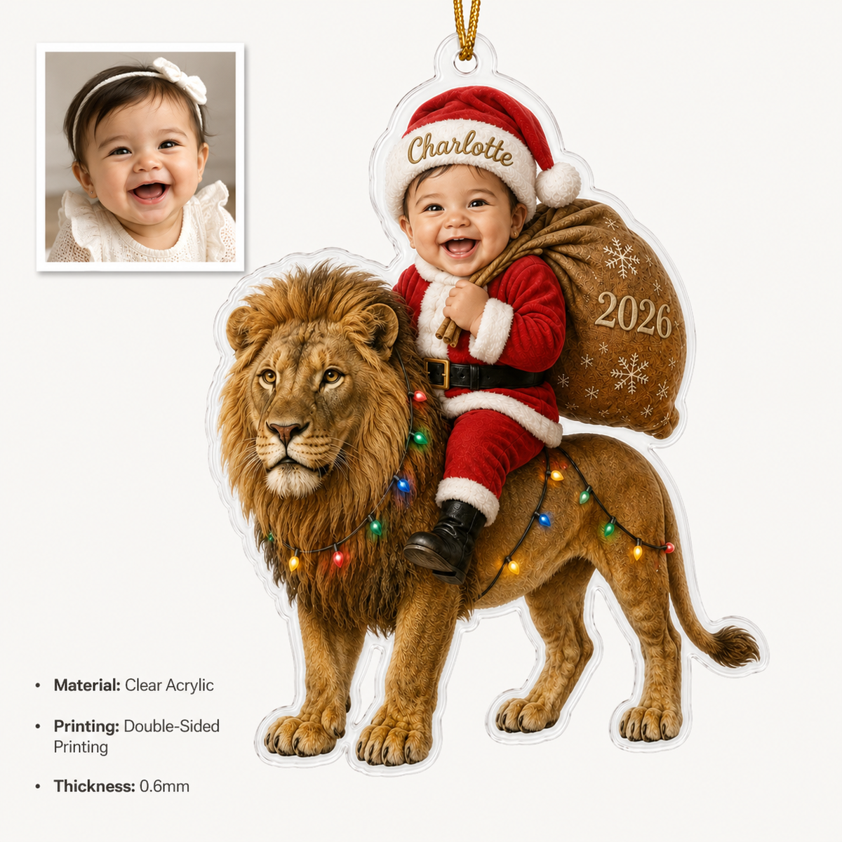 Custom Photo Baby Animal Lion