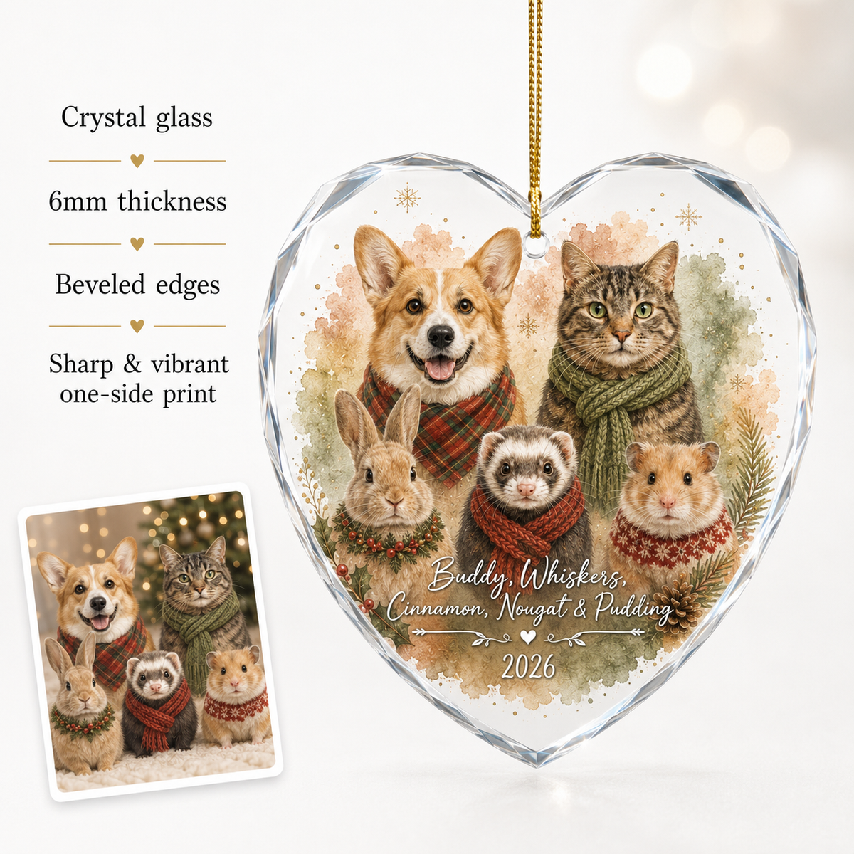 Custom Photo Pet Style 8