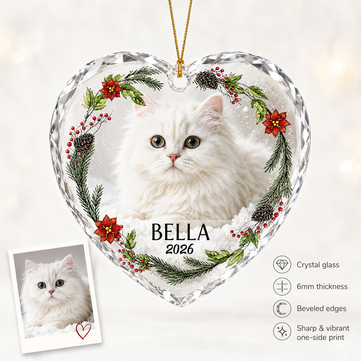 Custom Photo cat style 3