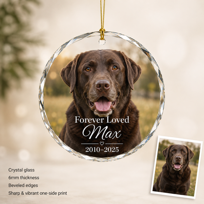 Custom Photo Dog Memorial Style 15