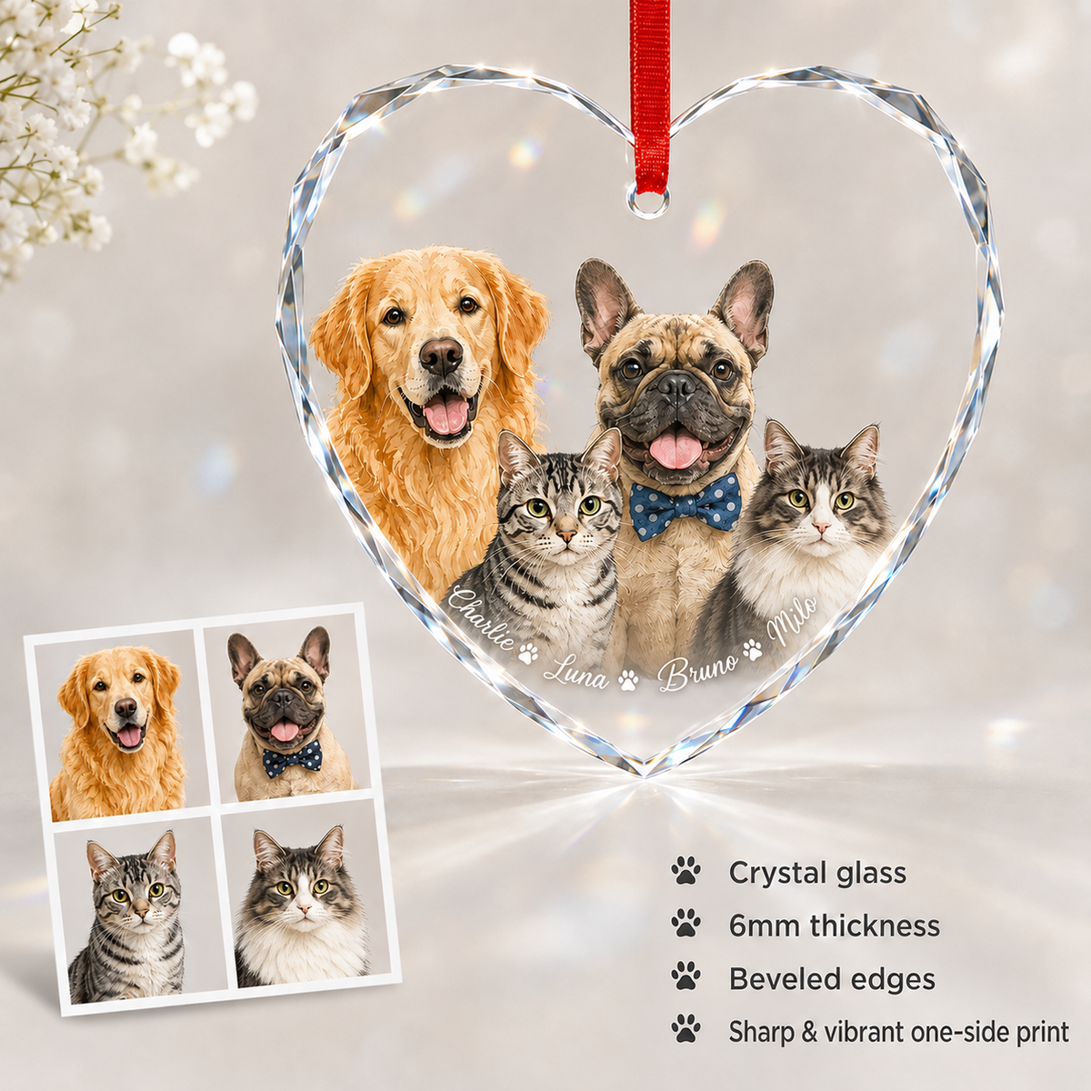 Custom Photo Pet Style 7