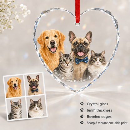 Custom Photo Pet Style 7
