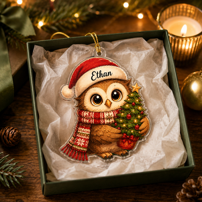 Animal Chrismas Owl