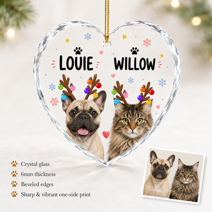 Custom Photo Pet Style 9