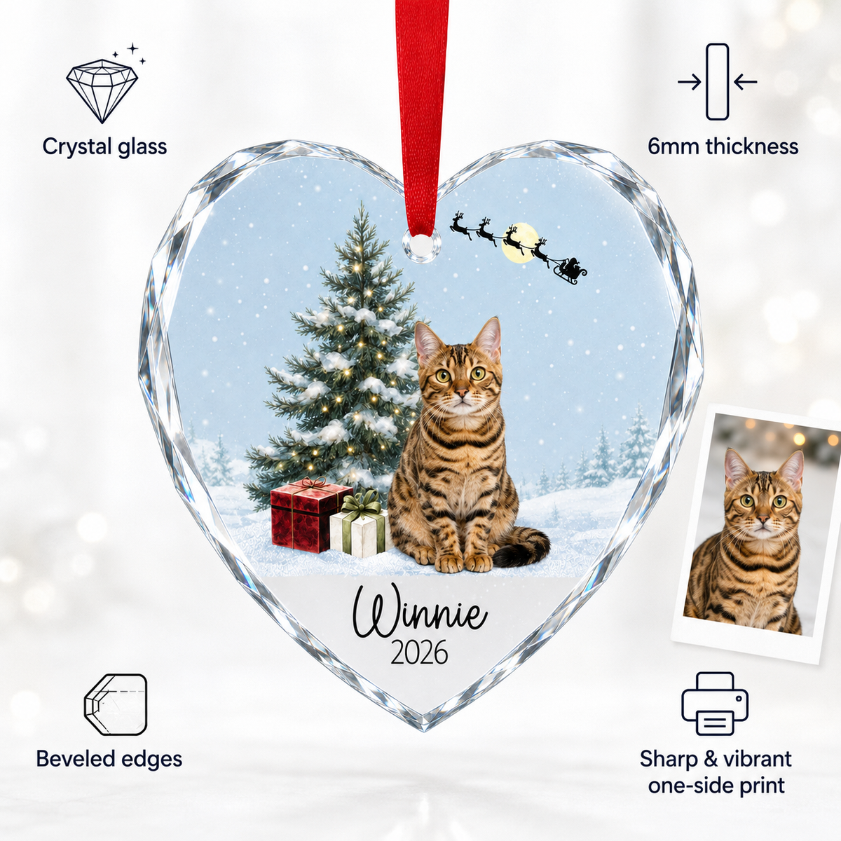Custom Photo cat style 19