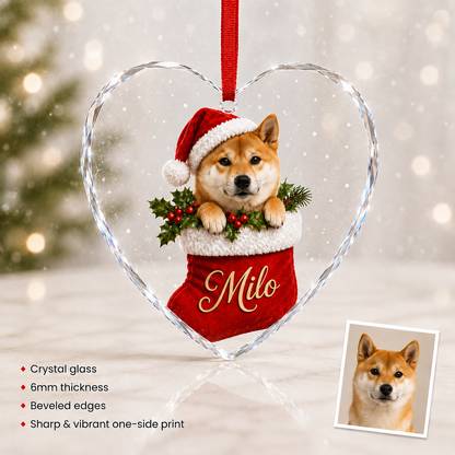 Custom Photo Dog With Christmas Sock