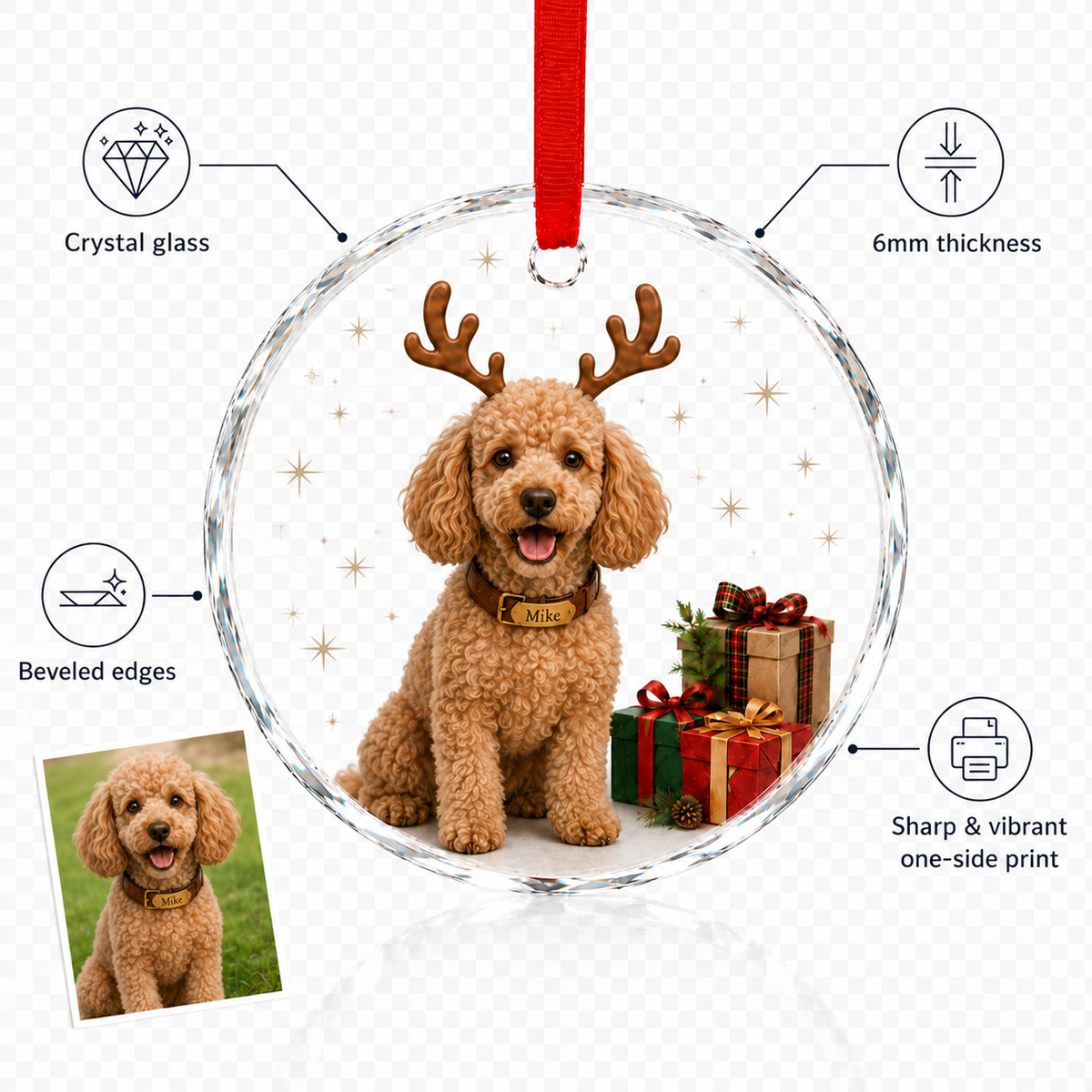 Custom Photo Dog With Christmas Gift