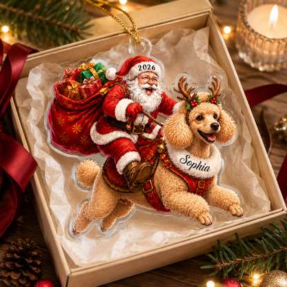 Santa Claus and Dog Poodle