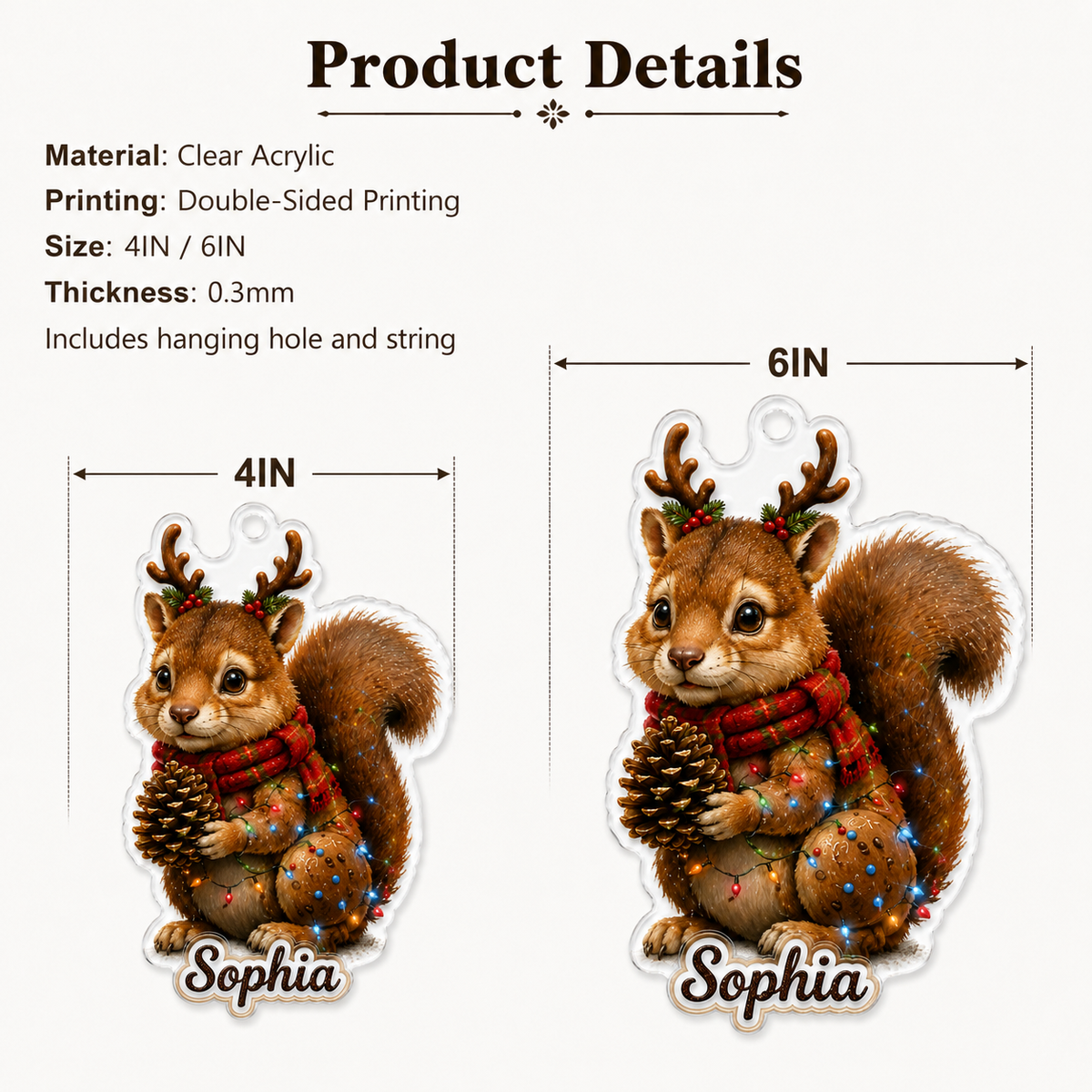Christmas Animal Squirrel