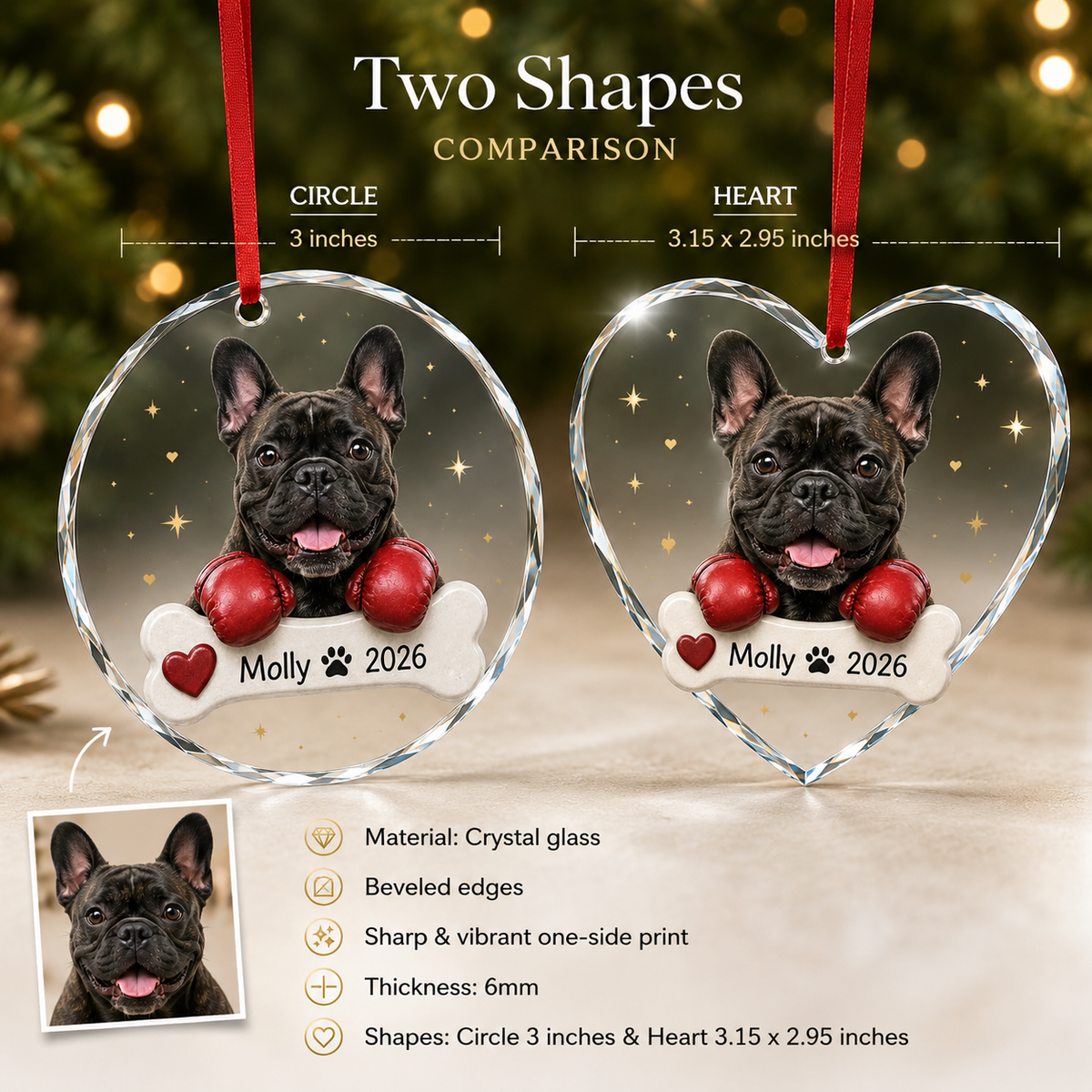 Custom Photo Dog With Boxing