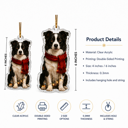 Dog Christmas Ledlight Border Collie
