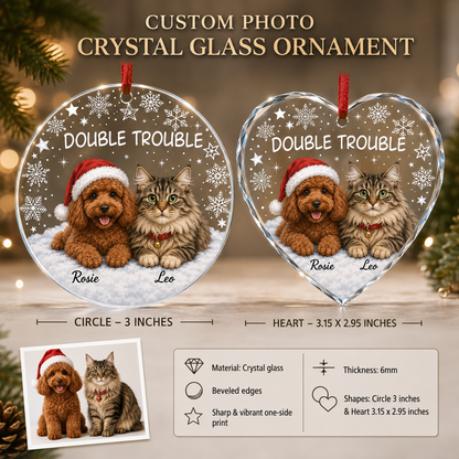 Custom Photo Pet Style 12