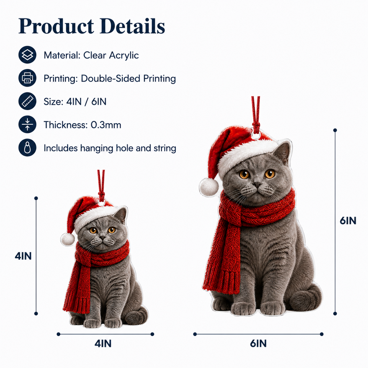 Noel Cat British Shorthair