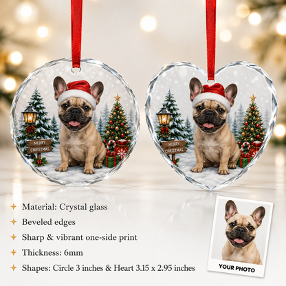 Custom Photo Pet Style 6