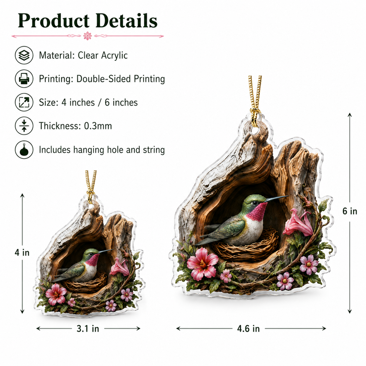 Flying Animals Hummingbird