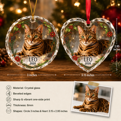 Custom Photo cat style 3