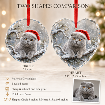 Custom Photo cat style 17