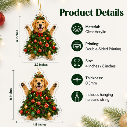 Dog Santa Tree Golden Retrieve