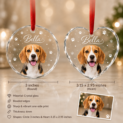 Custom Photo Pet Style 2