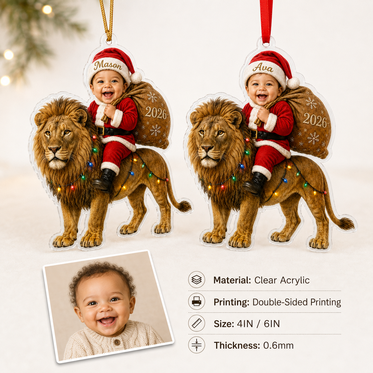 Custom Photo Baby Animal Lion