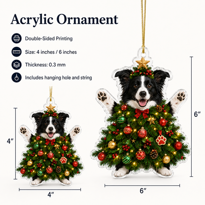 Dog Santa Tree Border Collie
