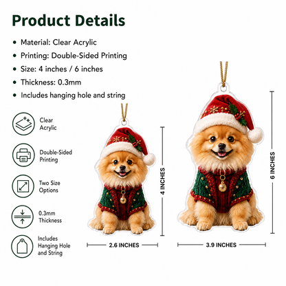 Dog Chrismast With Noel Sweater Pomeranian
