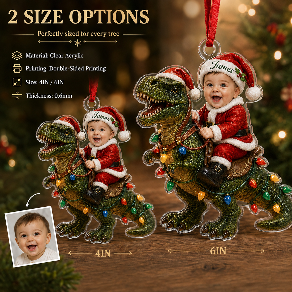 Baby Photo Dinosour
