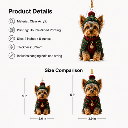 Dog Chrismast With Noel Sweater Terrier