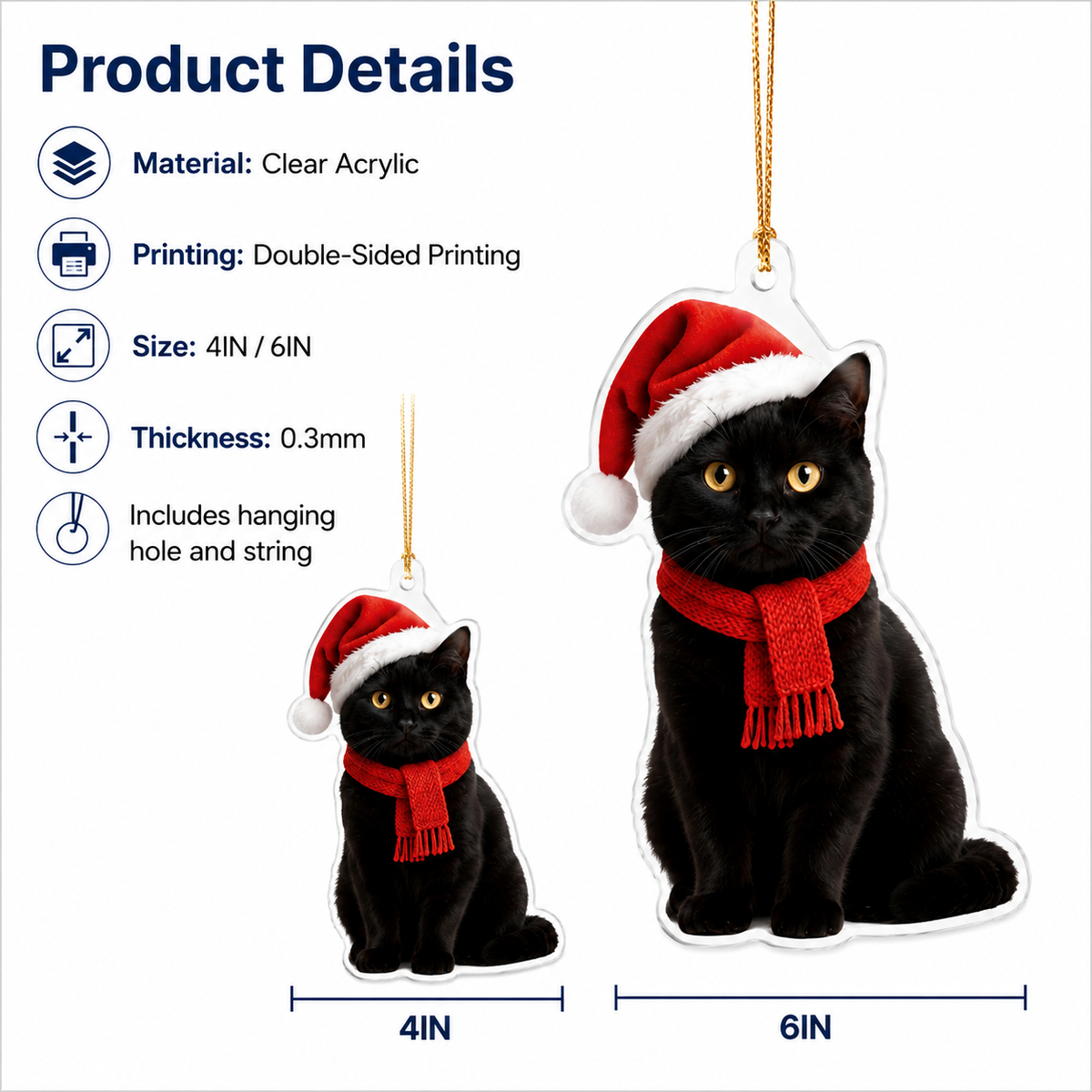 Noel Cat Black Cat