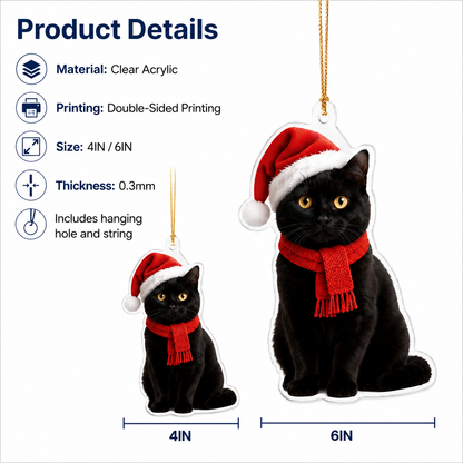 Noel Cat Black Cat