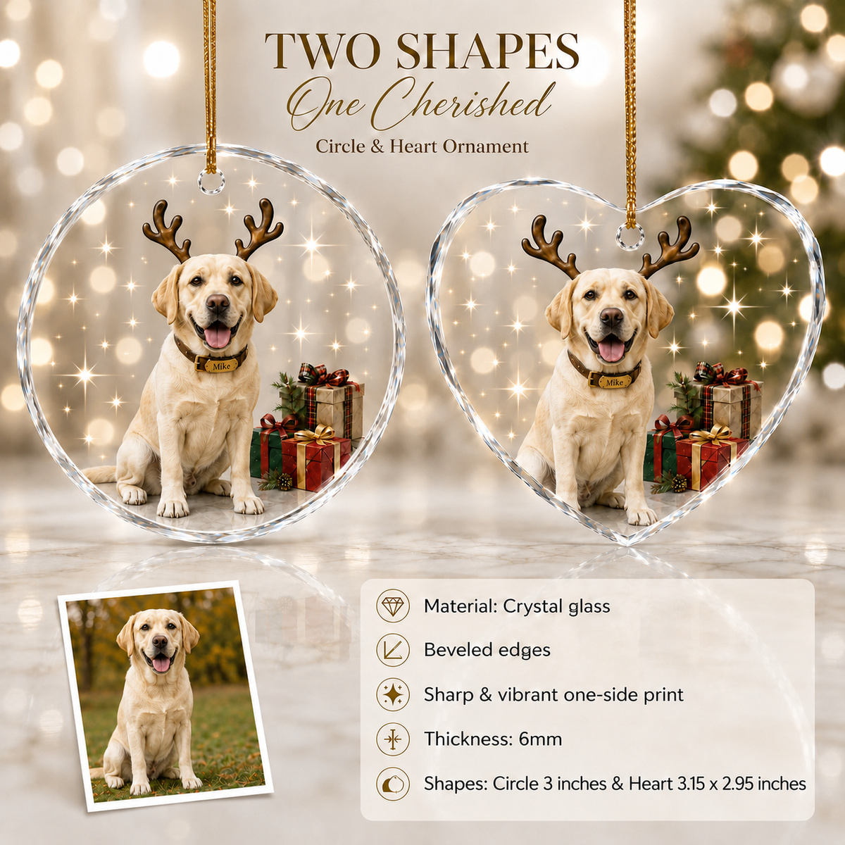 Custom Photo Dog With Christmas Gift