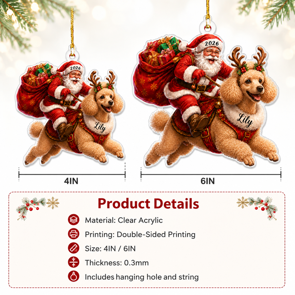 Santa Claus and Dog Poodle