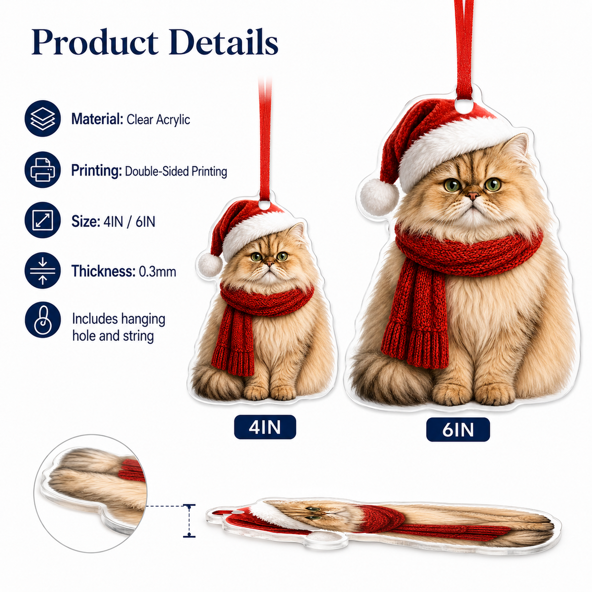 Noel Cat Persian Cat