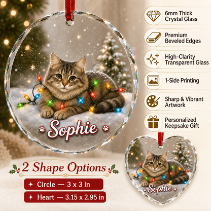 Glass Animal Led Light Cat