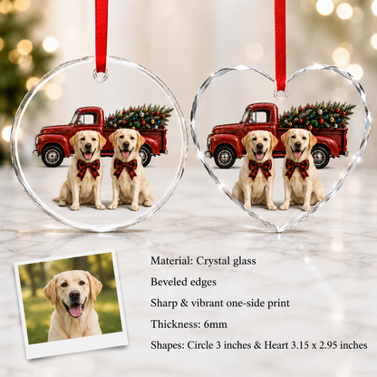 Custom Photo Dog With Christmas Car