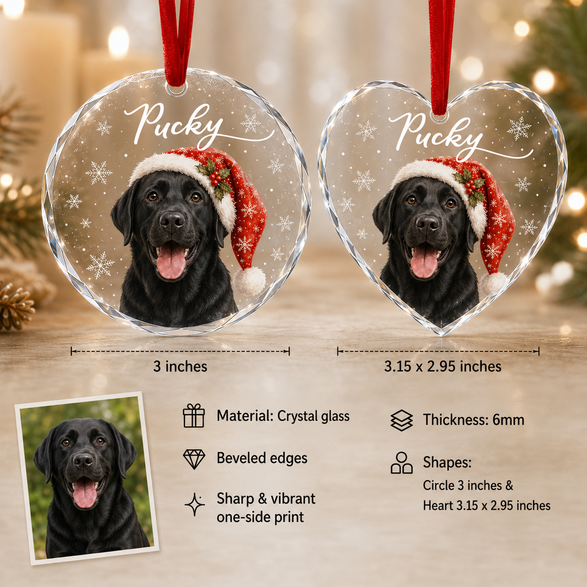 Custom Photo Dog Glass Dog With Snow