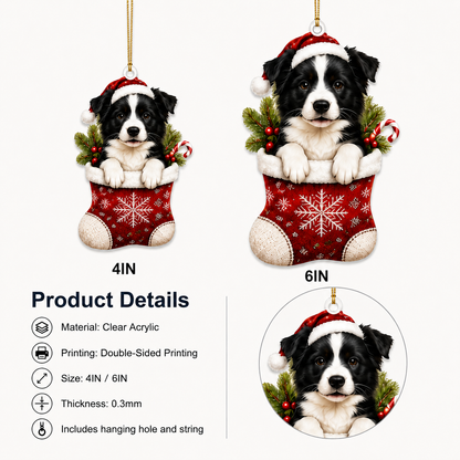 Dog Christmas Socks Border Collie