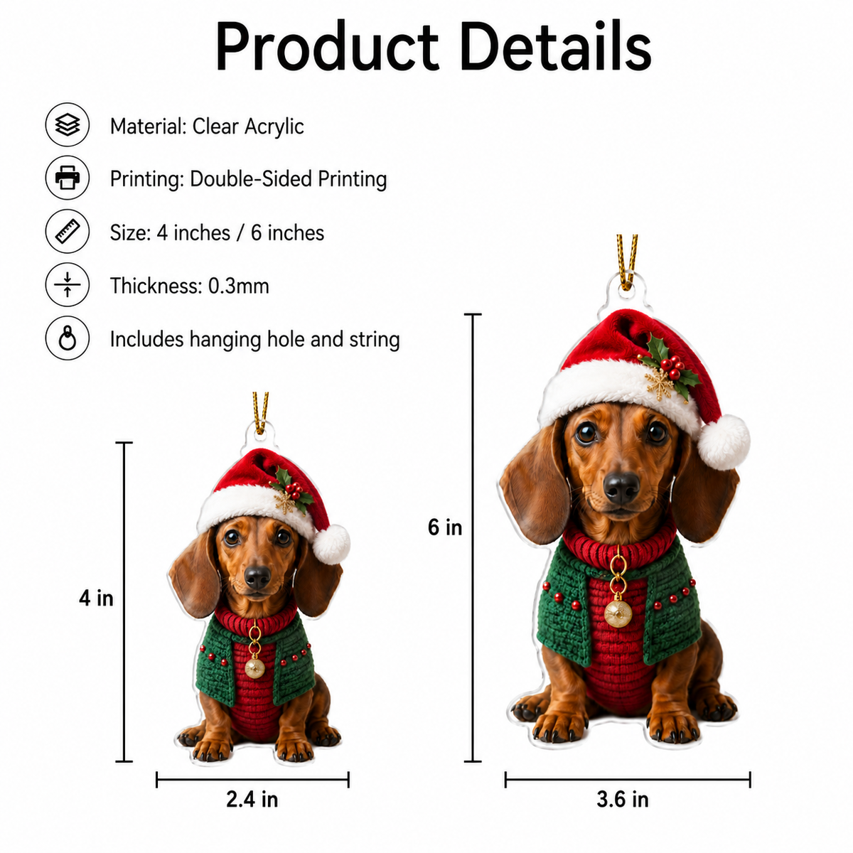 Dog Chrismast With Noel Sweater Dachshund